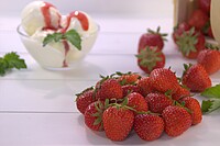 AGRO FOOD TK-​Erdbeeren 